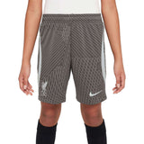 Nike Liverpool FC 4th Strike Kids Dri-FIT Soccer Shorts