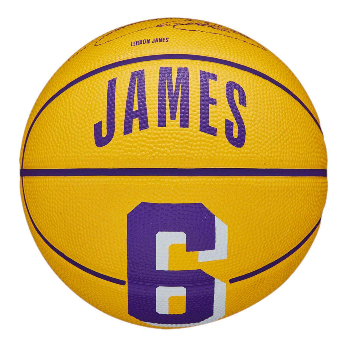 Wilson NBA Size 3 Player Icon Lebron James Mini Basketball