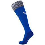 Castore Leinster 2024/25 Home Socks