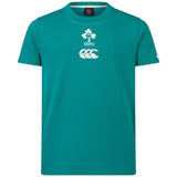 Canterbury IRFU 2024/25 Kids Short Sleeved Rugby T-Shirt