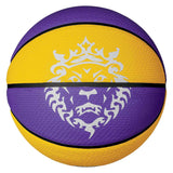 Nike LeBron James Playground 8P Basketball