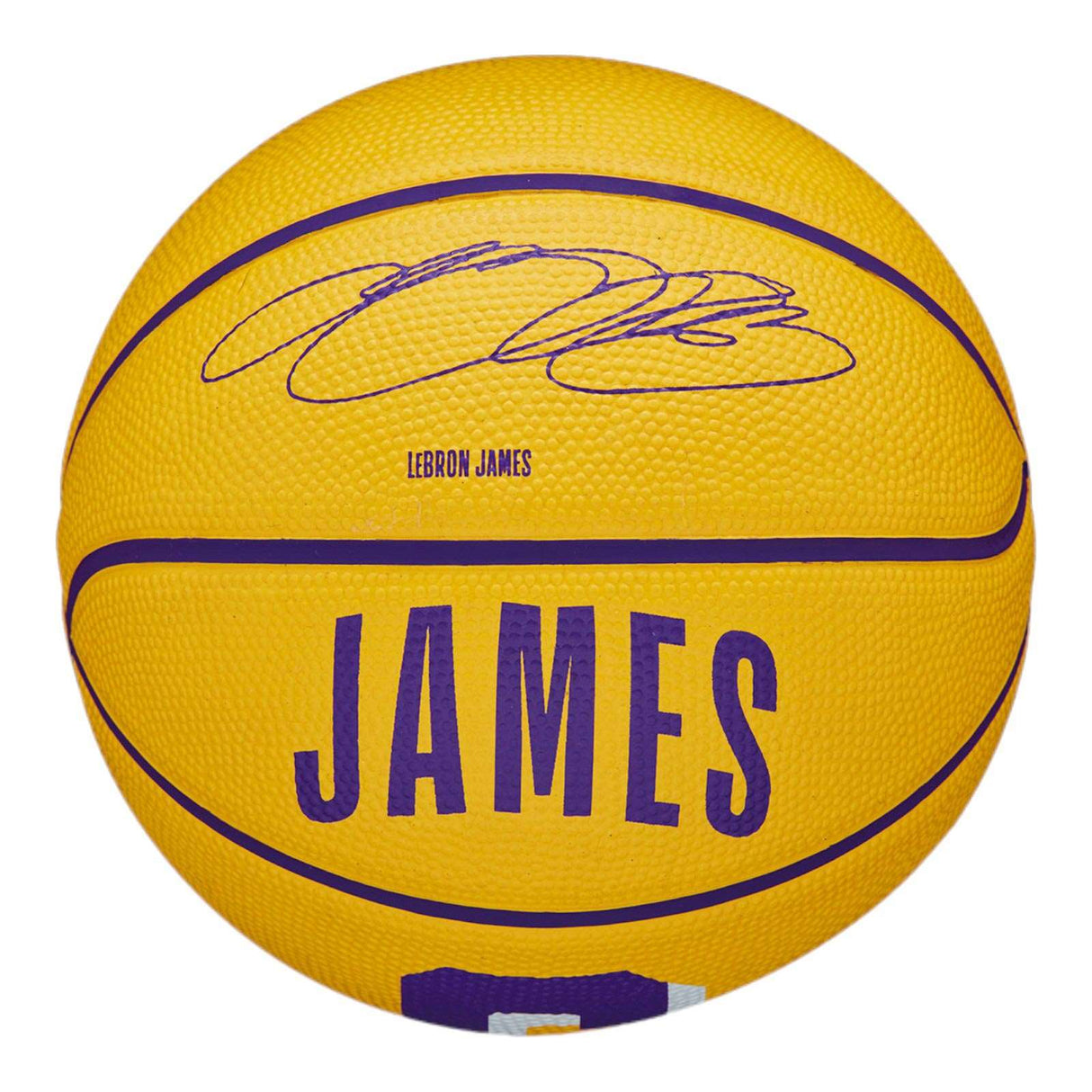 Wilson NBA Size 3 Player Icon Lebron James Mini Basketball