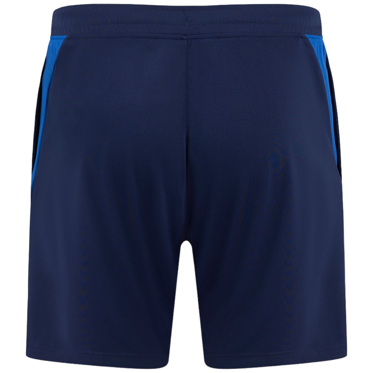 Castore Leinster 2024/25 Pro Training Gym Shorts