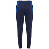 Castore Leinster Rugby 2024/25 Mens Pro Training Pant