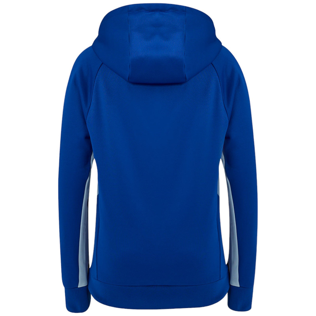 Castore Leinster 2024/25 Pro Kids Overhead Training Hoodie