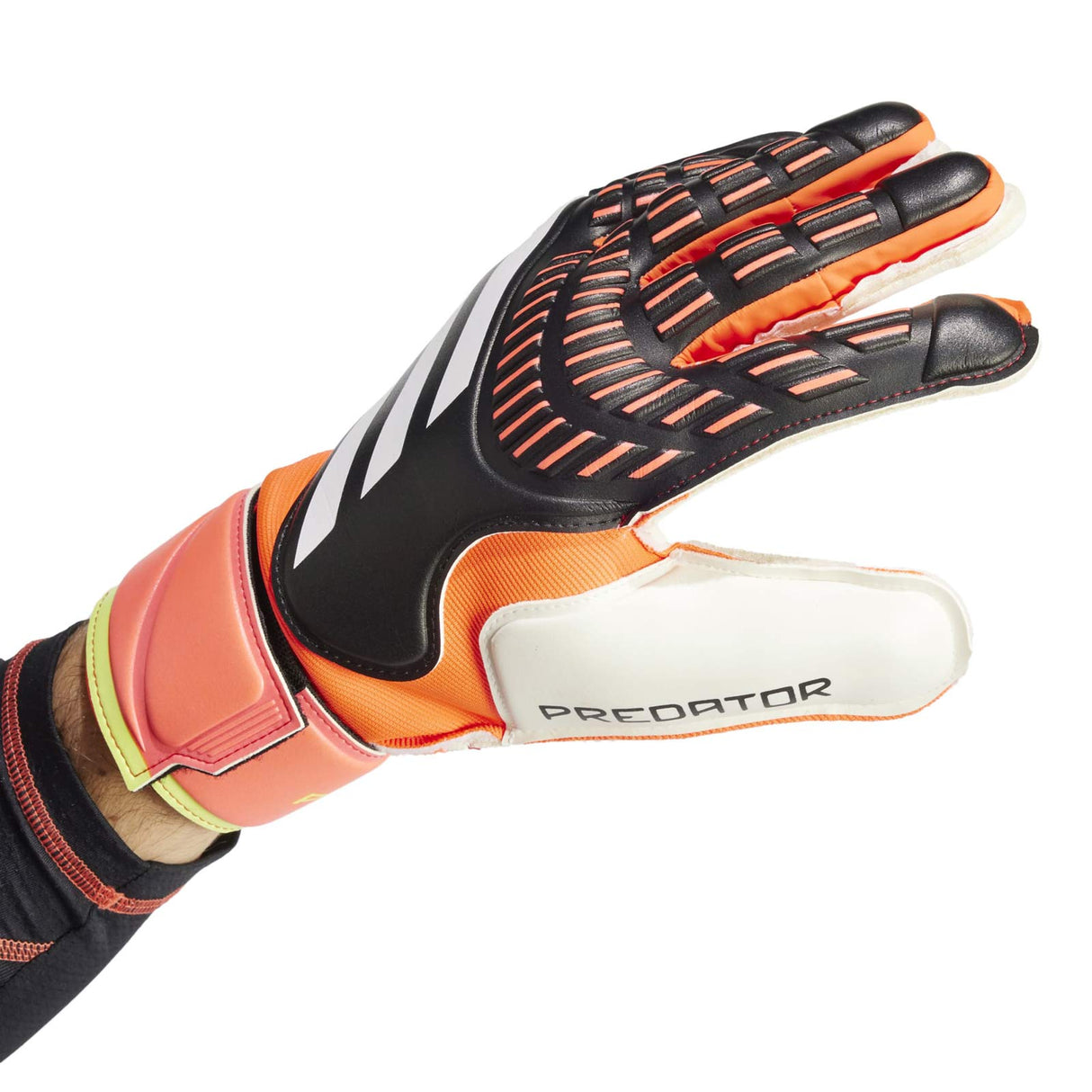 adidas Predator Match Goalkeeper Gloves