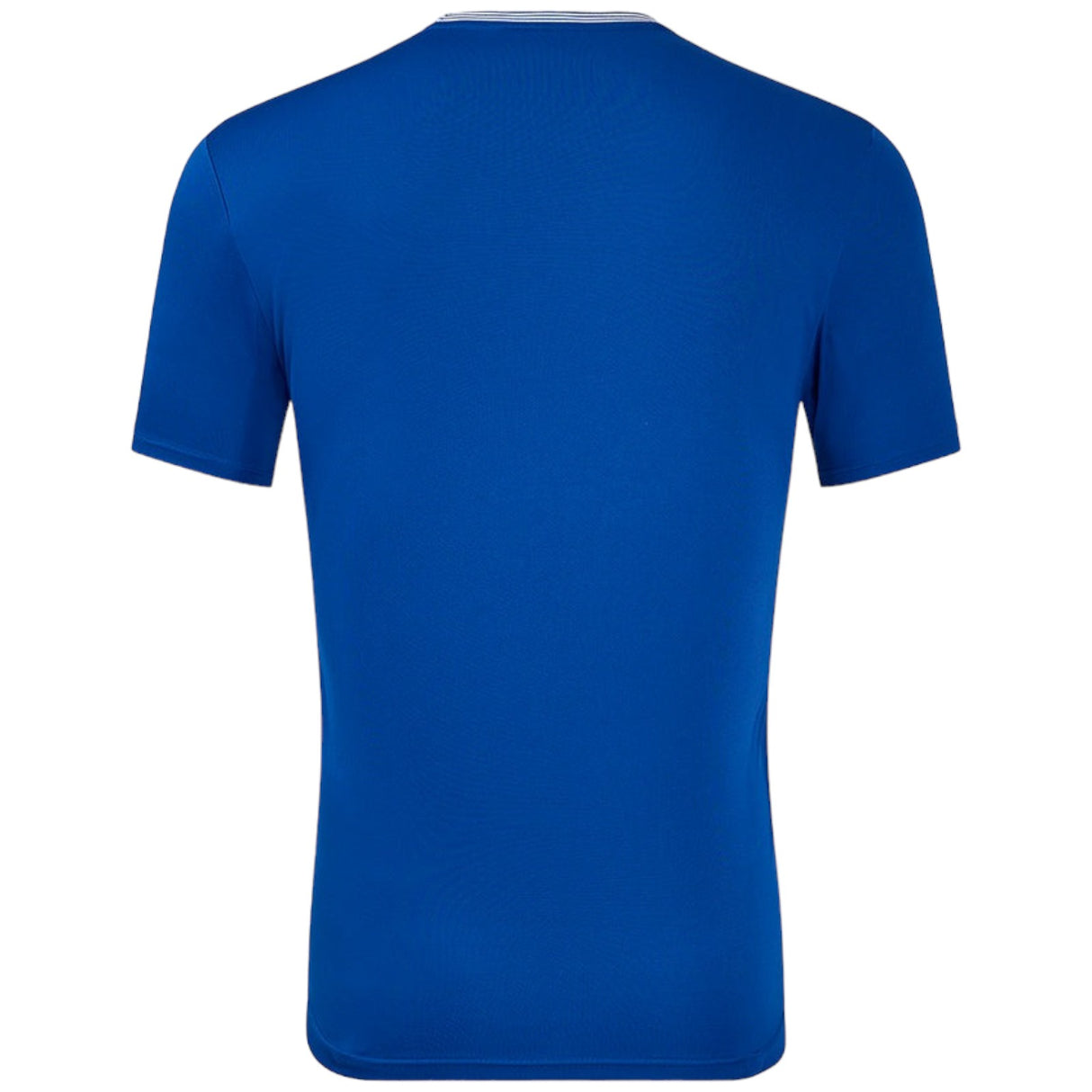 Castore Everton 2024/25 Short Sleeved Mens Home Jersey