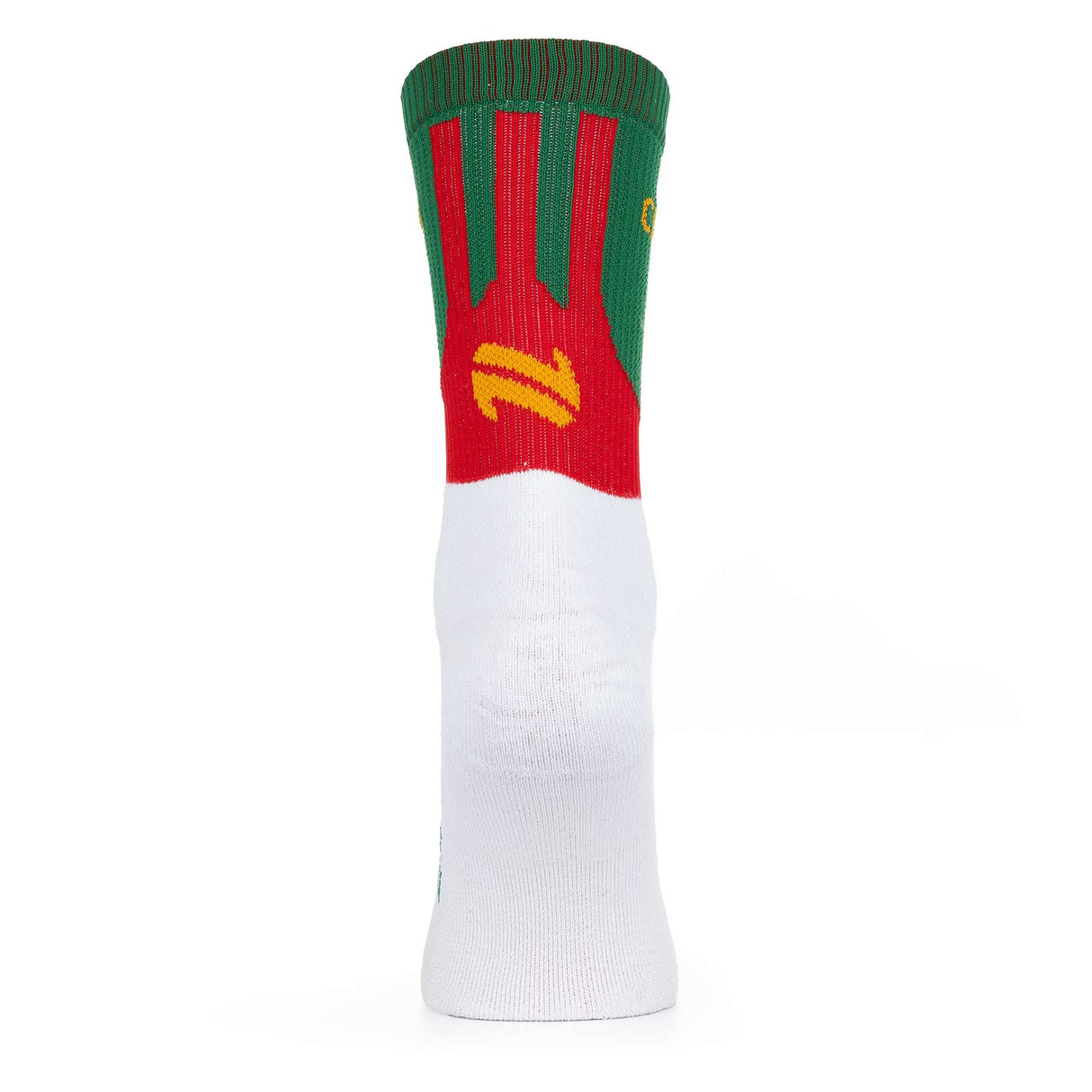 O'Neills Carlow GAA 2025 Home Midi Socks