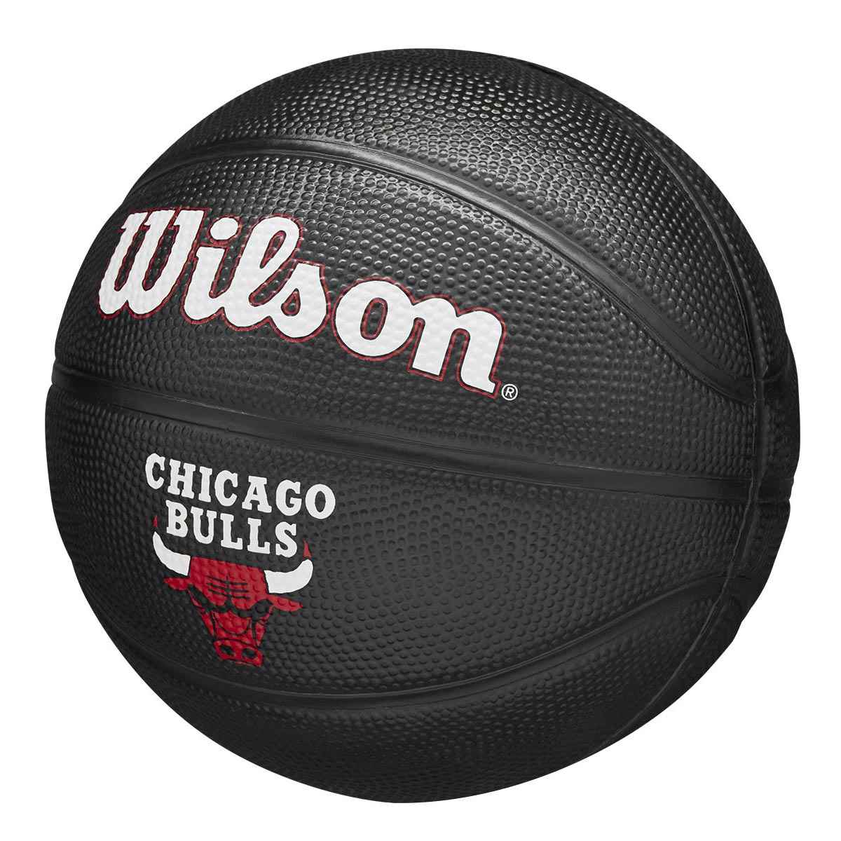 Wilson NBA Team Tribute Mini Chicago Bulls Basketball