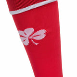 Castore FAI 24 Kids Away GK Socks Red