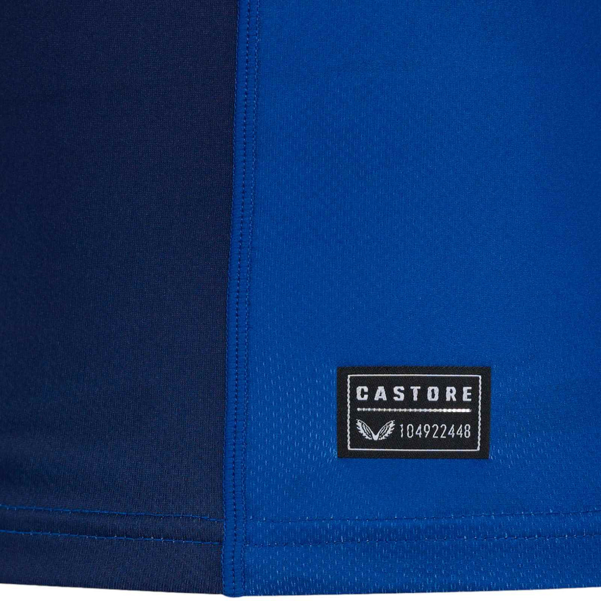 Castore Leinster Rugby 2024/25 Home Replica Jersey