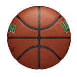 Wilson NBA Composite Boston Celtics 7