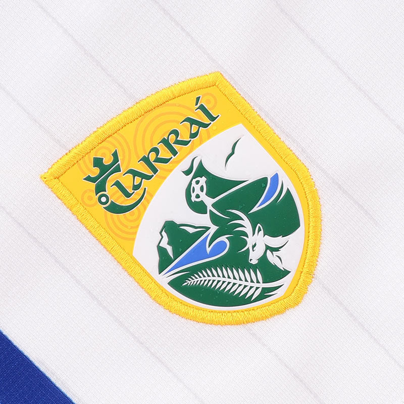 O'Neills Kerry GAA 2025 Alternative Printed Shorts