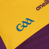 O'Neills Wexford 2022 Home Kids Jersey