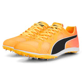 Puma evoSPEED Crossfox 4 Running Shoes