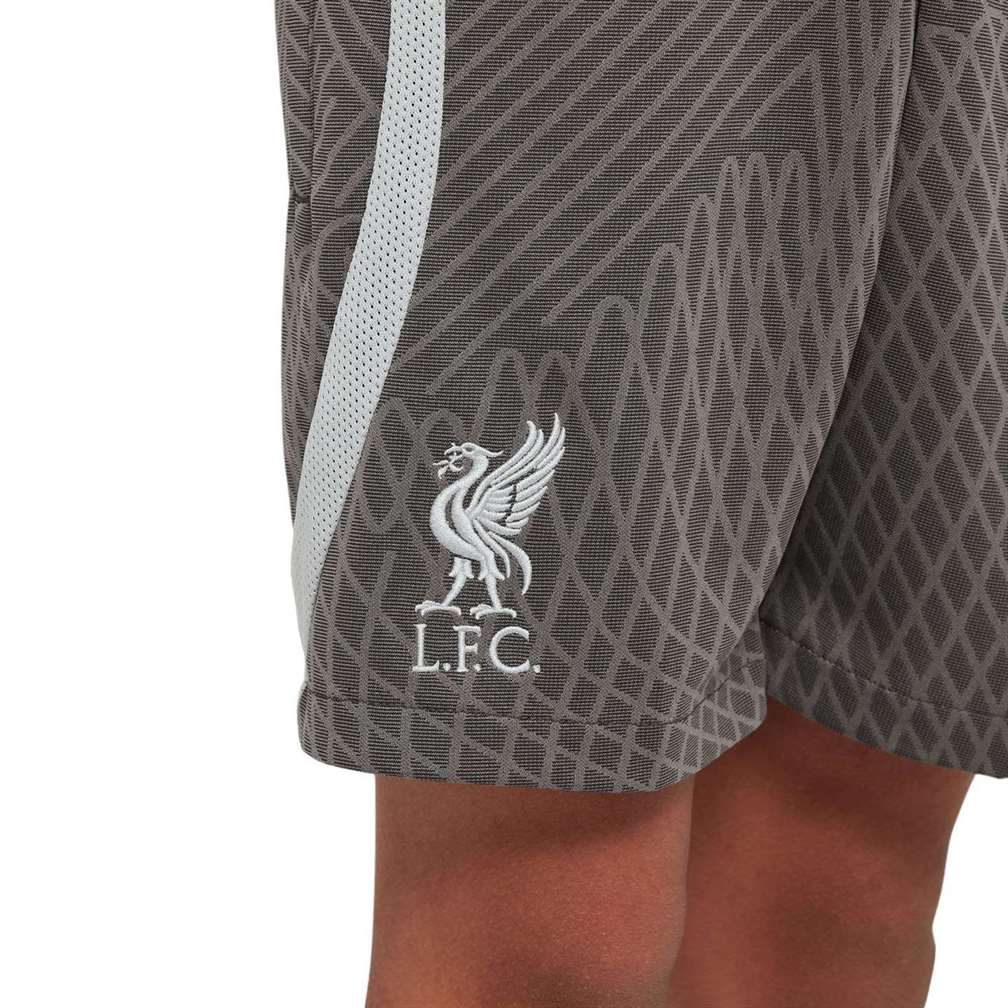 Nike Liverpool FC 4th Strike Kids Dri-FIT Soccer Shorts