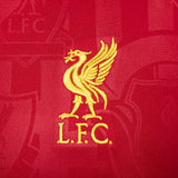 Nike Liverpool FC 2024/25 Academy Pro Pre-Match Jersey