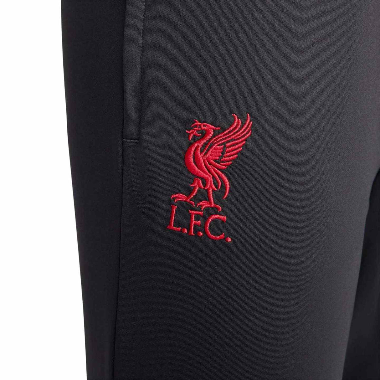 Nike Liverpool Football Club 2024/25 3rd Strike Drill Pants