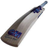 GM Mana Kashmir Willow Cricket Bat