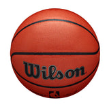 Wilson NBA  In/Out 7 Basketball Brown