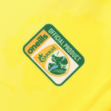 O'Neills Kerry GAA 2024 Short Sleeve Training Jersey