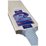 GM Mana Kashmir Willow Cricket Bat