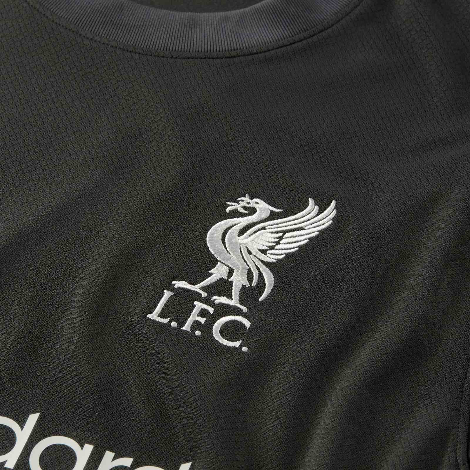 Liverpool jersey elverys online